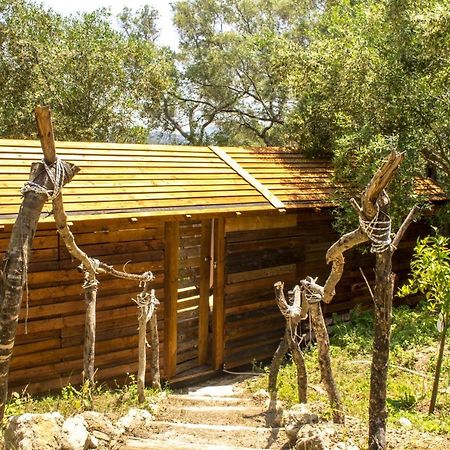 Pelekas Olive Grove Oasis Room No4 מראה חיצוני תמונה