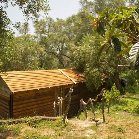 Pelekas Olive Grove Oasis Room No4 מראה חיצוני תמונה