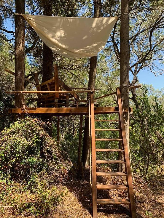Pelekas Olive Grove Oasis Room No4 מראה חיצוני תמונה