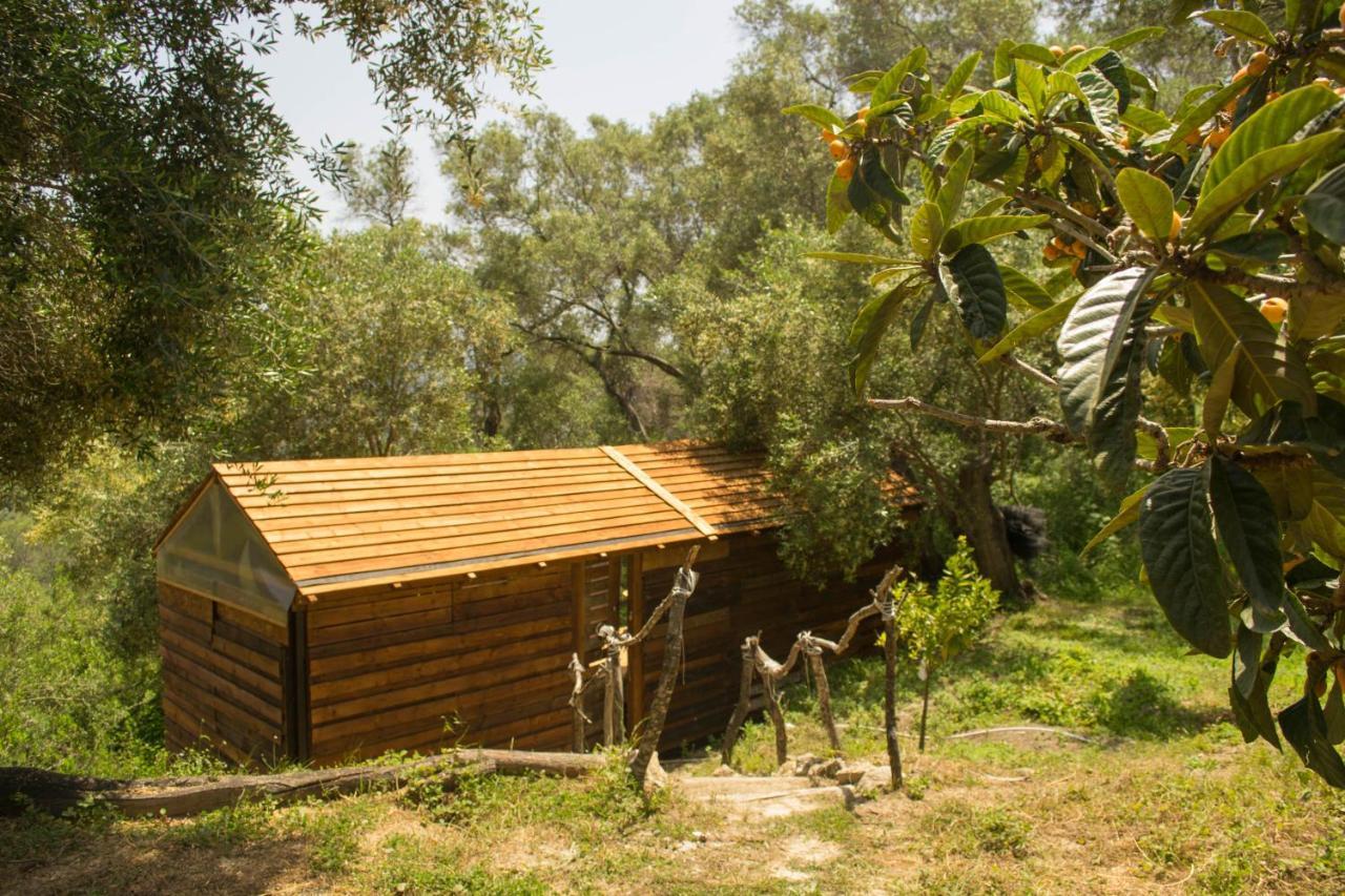 Pelekas Olive Grove Oasis Room No4 מראה חיצוני תמונה